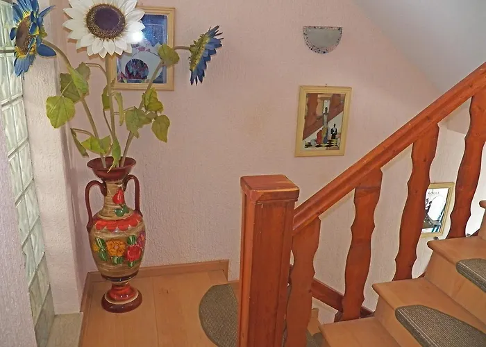 House Dubravka 1946 아파트 *