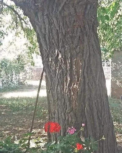 아파트 House Dubravka 1946 풀라