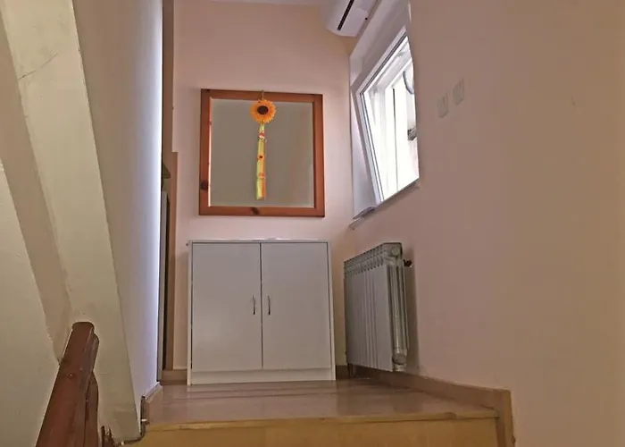 House Dubravka 1946 풀라