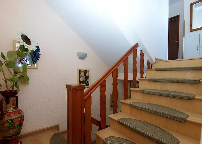 House Dubravka 1946 公寓