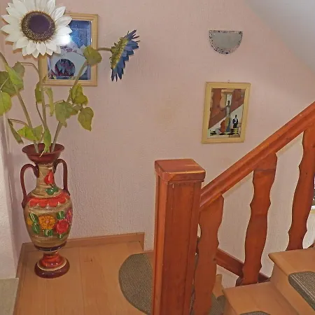 House Dubravka 1946 Appartamento *