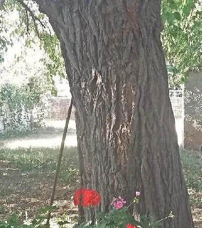 Appartamento House Dubravka 1946 Pola